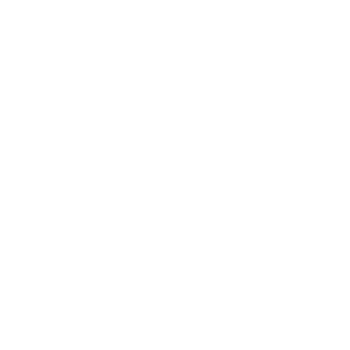 Adyen App Logo