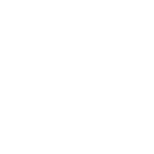 BlueSnap App Logo