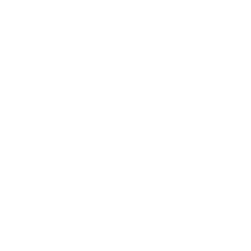 DSers App Logo
