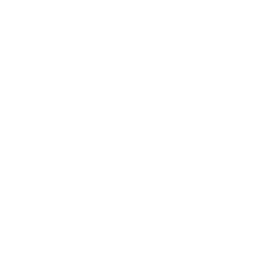 FMX App Logo