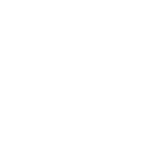 Paytrail App Logo