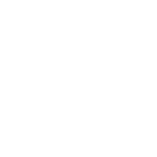 Videnly App Logo