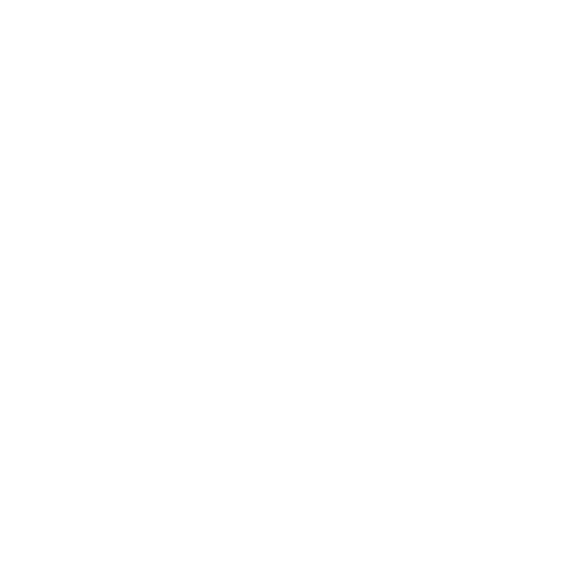 VLM Run App Logo